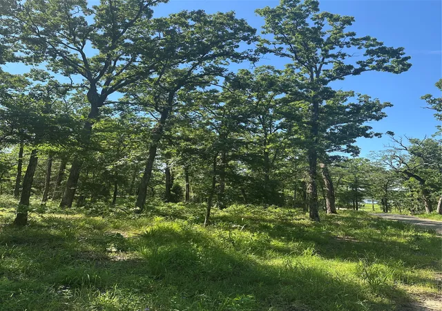 Photo 3 of Land for sale at 14192 Ridge Ln, Malakoff, TX 75148 | MLS# 21258005 | Listing updated on 2026-07-21