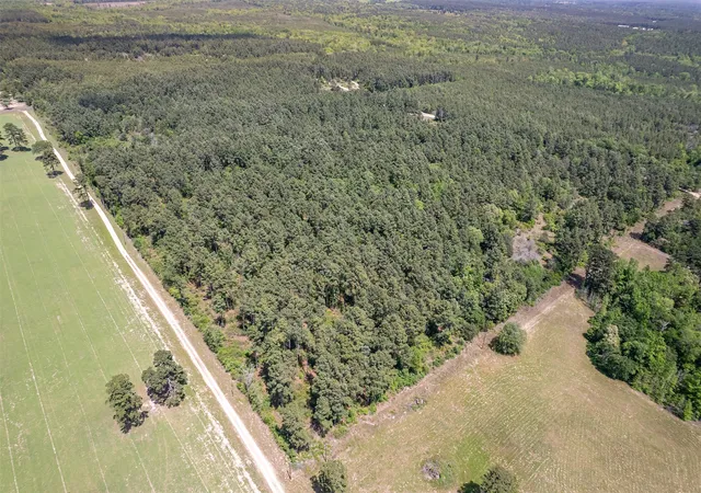 Photo 1 of Land for sale at 0 County Road 3588, Winnsboro, TX 75494 | MLS# 21258126 | Listing updated on 2026-08-18