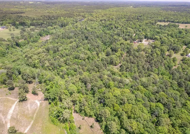 Photo 3 of Land for sale at 0 County Road 3588, Winnsboro, TX 75494 | MLS# 21258126 | Listing updated on 2026-08-18