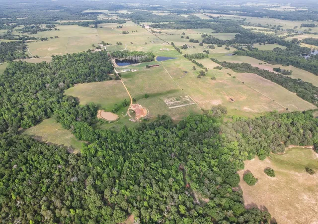 Photo 1 of Land for sale at 2711 An County Road 2301, Tennessee Colony, TX 75861 | MLS# 21253851 | Listing updated on 2026-10-04