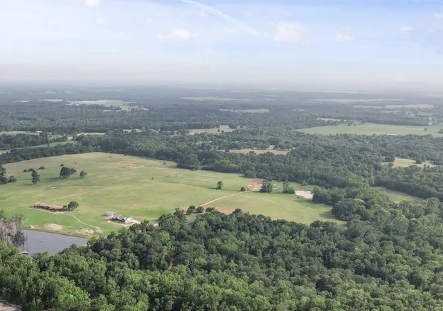 Photo 4 of Land for sale at 2711 An County Road 2301, Tennessee Colony, TX 75861 | MLS# 21253851 | Listing updated on 2026-10-04