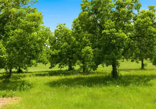 Photo 2 of Land for sale at Lot 3 County Road 3430, Lone Oak, TX 75453 | MLS# 21255159 | Listing updated on 2026-08-24