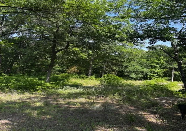 Photo 1 of Land for sale at 1255 Eagles Bluff Dr, Weatherford, TX 76087 | MLS# 21247866 | Listing updated on 2026-07-13