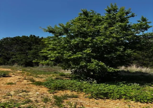Photo 4 of Land for sale at 1255 Eagles Bluff Dr, Weatherford, TX 76087 | MLS# 21247866 | Listing updated on 2026-07-13