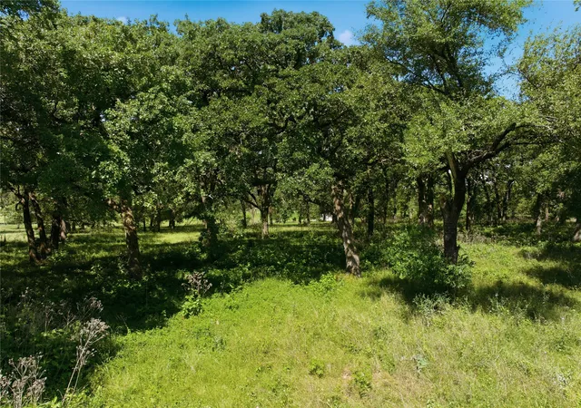 Photo 4 of Land for sale at 1187 Hcr 2200, Aquilla, TX 76622 | MLS# 21258949 | Listing updated on 2026-09-23