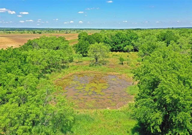 Homes for sale in Perrin, TX | 36 Acres Fm 2210, Perrin, TX 76486 | MLS# 21259151