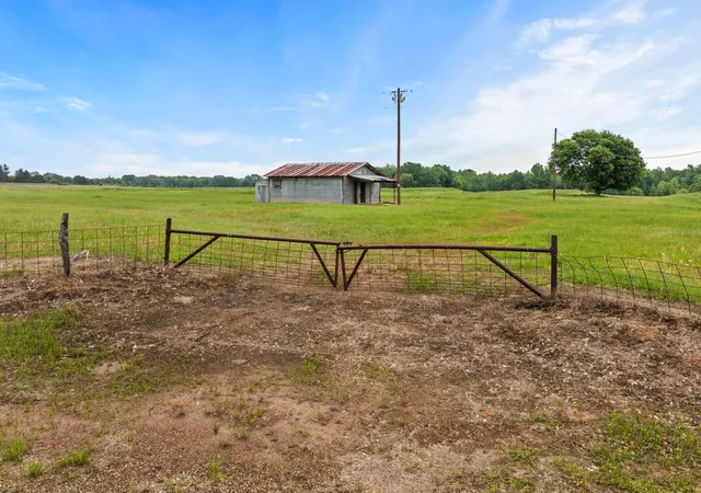Homes for sale in Pittsburg, TX | 000 County Road 3322, Pittsburg, TX 75686 | MLS# 21259307