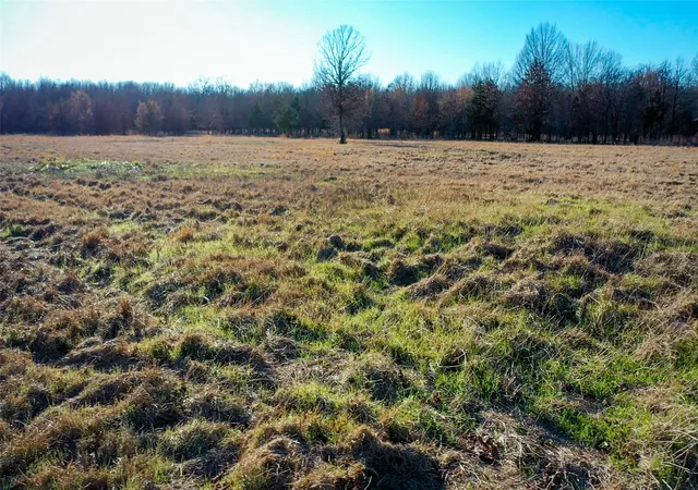 Homes for sale in Detroit, TX | 1200 County Road 1255, Detroit, TX 75436 | MLS# 21259357