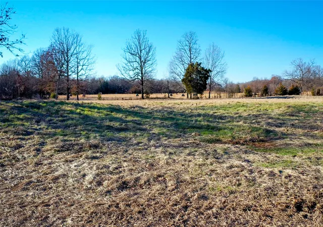 Homes for sale in Detroit, TX | 1200 County Road 1255, Detroit, TX 75436 | MLS# 21259357