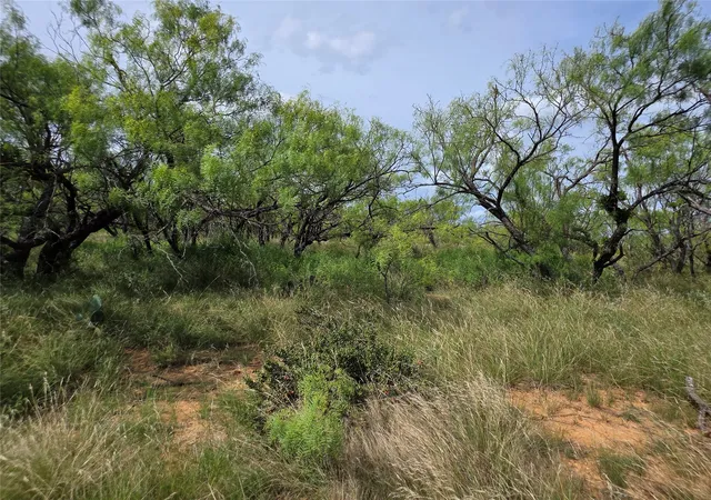 Homes for sale in Bangs, TX | 3201 County Road 612, Bangs, TX 76823 | MLS# 21259981