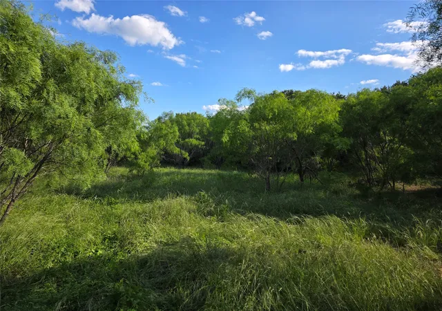 Homes for sale in Bangs, TX | 3201 County Road 612, Bangs, TX 76823 | MLS# 21259981