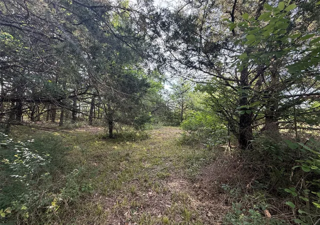 Homes for sale in Streetman, TX | Lot 15R-2 Hout Bay Rd, Streetman, TX 75859 | MLS# 21254737