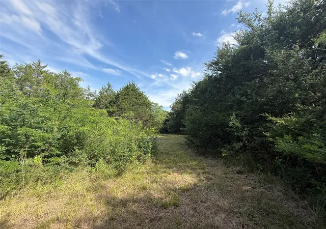 Homes for sale in Streetman, TX | Lot 15R-2 Hout Bay Rd, Streetman, TX 75859 | MLS# 21254737