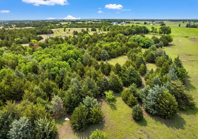 Photo 2 of Land for sale at 14991 Cr, Blue Ridge, TX 75424 | MLS# 21260042 | Listing updated on 2026-08-28