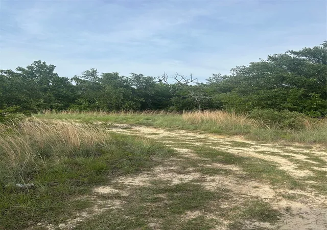 Photo 1 of Land for sale at 186 Pr 3873, Poolville, TX 76487 | MLS# 21260184 | Listing updated on 2026-08-20