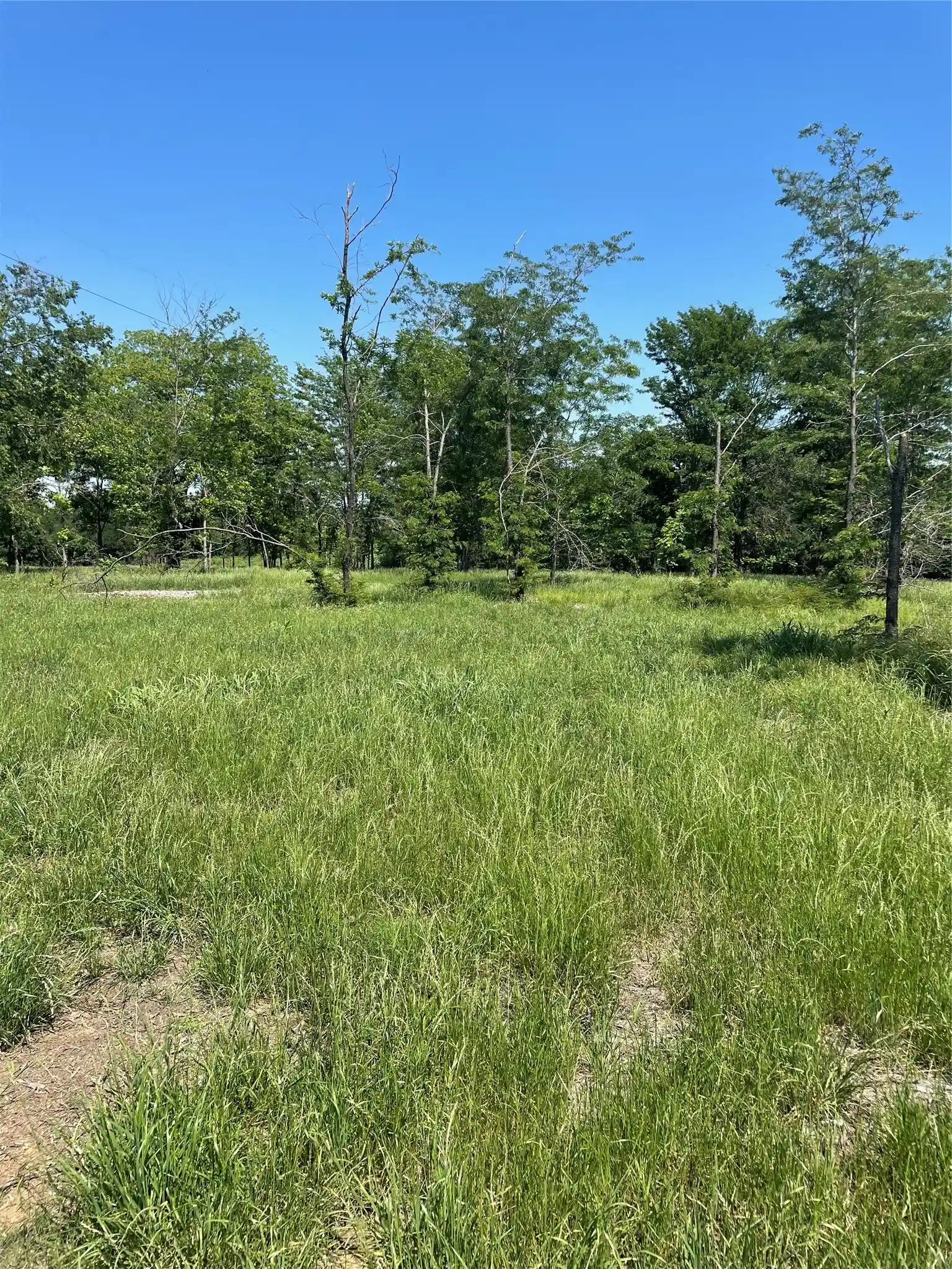 Photo 1 of Land for sale at 896 Blue Bird, Dodd City, TX 75438 | MLS# 21260971 | Listing updated on 2026-05-19