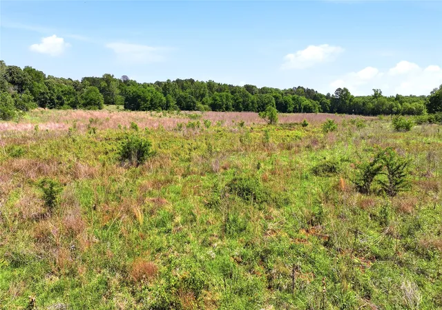 Homes for sale in Rusk, TX | 4091 County Road 2206, Rusk, TX 75785 | MLS# 21261273