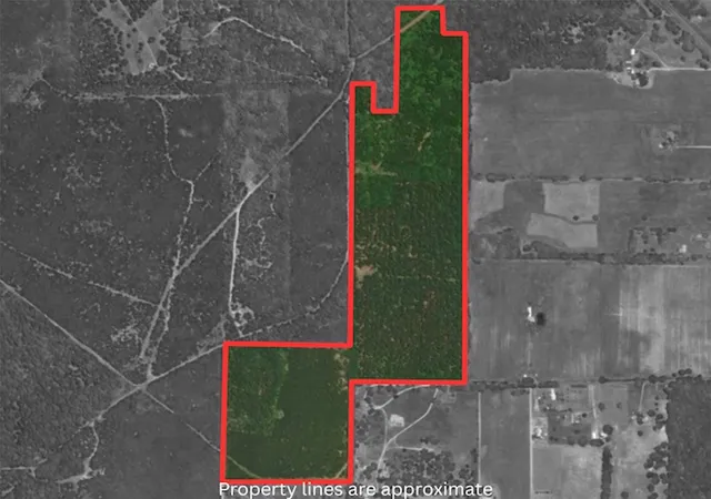 Homes for sale in Hawkins, TX | 000 Private Road 7832, Hawkins, TX 75765 | MLS# 21261380