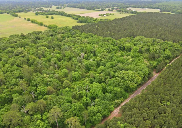 Homes for sale in Hawkins, TX | 000 Private Road 7832, Hawkins, TX 75765 | MLS# 21261380