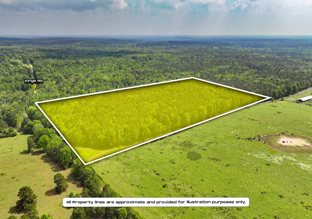 Homes for sale in Hemphill, TX | Tbd Kings Rd, Hemphill, TX 75972 | MLS# 21256042