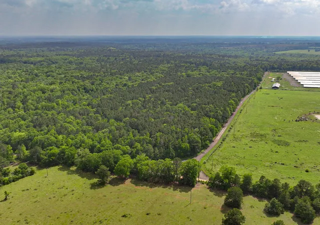 Homes for sale in Hemphill, TX | Tbd Kings Rd, Hemphill, TX 75972 | MLS# 21256042
