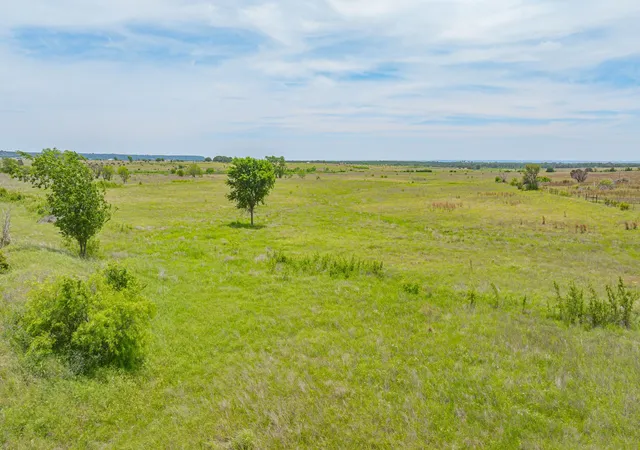 Homes for sale in Hico, TX | 1tbd County Road 214, Hico, TX 76457 | MLS# 21261509