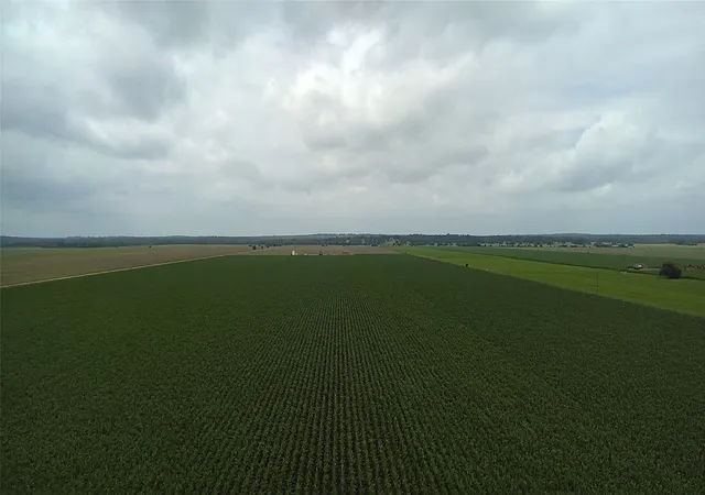 Land for sale at 000 Hwy 50, Snook, TX 77878 | MLS# 21261771