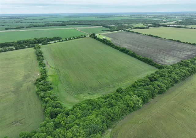 Photo 3 of Land for sale at Tbd Hwy 56 Hwy, Honey Grove, TX 75446 | MLS# 21257938 | Listing updated on 2026-07-27