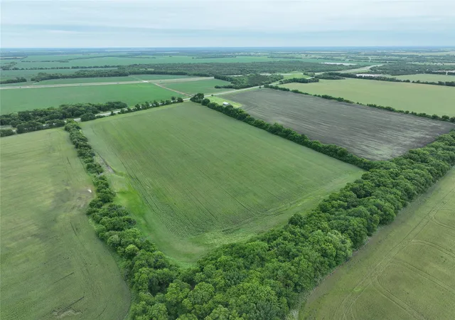 Photo 4 of Land for sale at Tbd Hwy 56 Hwy, Honey Grove, TX 75446 | MLS# 21257938 | Listing updated on 2026-10-06