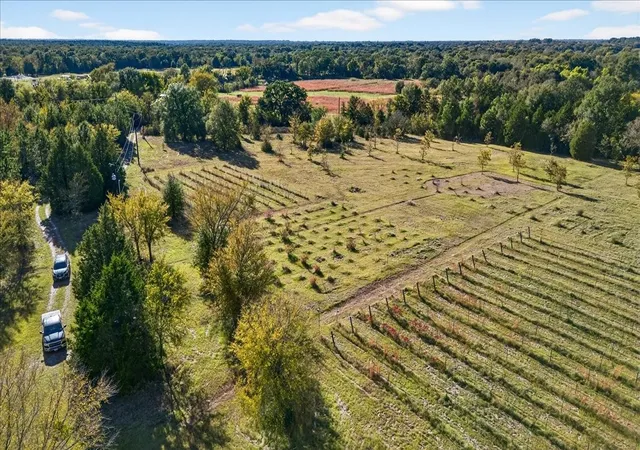 Photo 2 of Land for sale at 1603 Vz County Road 2908, Eustace, TX 75124 | MLS# 21262367 | Listing updated on 2026-07-27