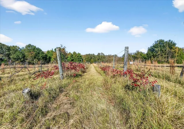 Photo 3 of Land for sale at 1603 Vz County Road 2908, Eustace, TX 75124 | MLS# 21262367 | Listing updated on 2026-07-27