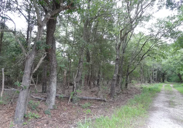 Photo 3 of Land for sale at 000 Vz Cr 2908, Eustace, TX 75124 | MLS# 21262392 | Listing updated on 2026-08-28