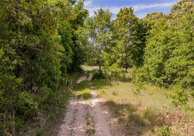 Photo 3 of Single family home for sale at 1655 County Road 1627, Avinger, TX | MLS# 21262675 | Listing updated on 2026-08-25