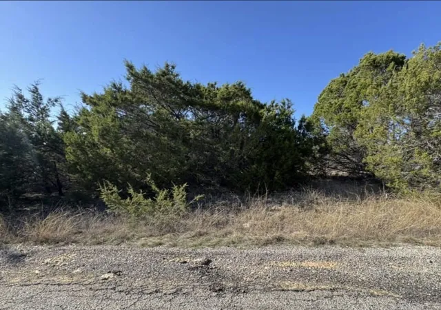 Homes for sale in Granbury, TX | 4711 Evening View Dr, Granbury, TX 76048 | MLS# 21262724