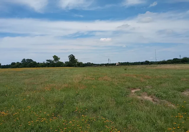 Homes for sale in Donie, TX | 35 Ac Fm 1512, Donie, TX 75838 | MLS# 21261176