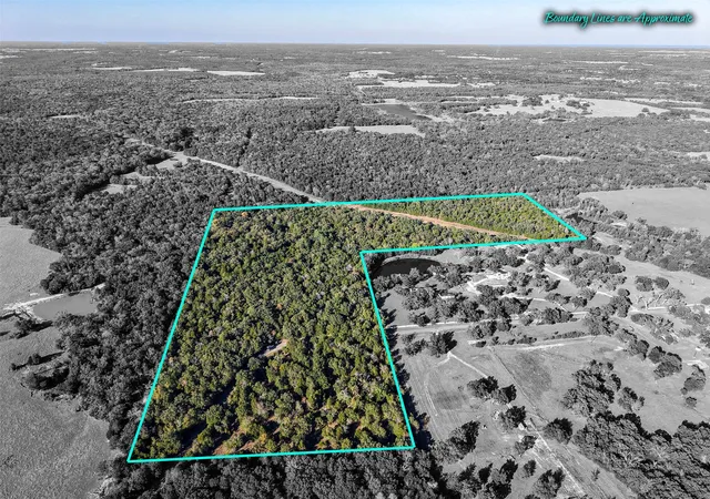 Homes for sale in Teague, TX | 45 Acres County Road 930, Teague, TX 75860 | MLS# 21262847