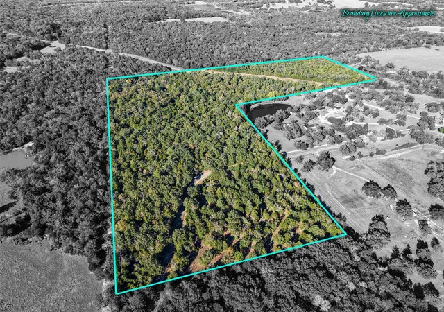 Homes for sale in Teague, TX | 45 Acres County Road 930, Teague, TX 75860 | MLS# 21262847