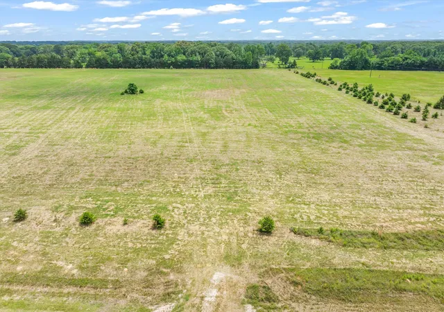Photo 2 of Sale Pending at Tbd Vz County Road 4912, Van, TX 75790 | MLS# 21263155 | Listing updated on 2026-08-03