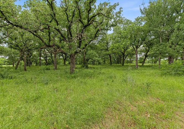 Homes for sale in Paradise, TX | 1999 Sunflower Rd, Paradise, TX 76073 | MLS# 21262464