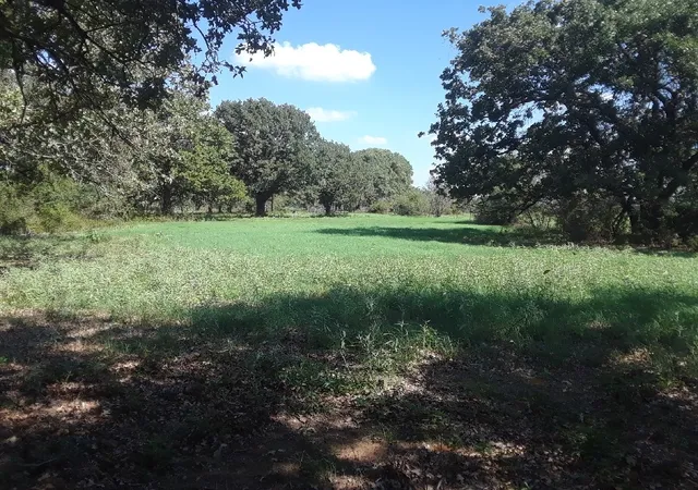 Photo 1 of Sale Pending at Pr 114 Pr 114, Covington, TX 76636 | MLS# 21264082 | Listing updated on 2026-08-17
