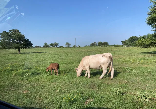 Photo 3 of Sale Pending at Pr 114 Pr 114, Covington, TX 76636 | MLS# 21264082 | Listing updated on 2026-08-17