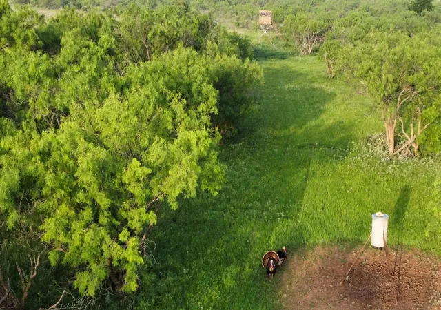 Photo 1 of Land for sale at 401 Cr 498, Goldsboro, TX 79519 | MLS# 21264446 | Listing updated on 2026-08-18