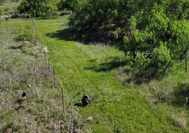 Photo 3 of Land for sale at 401 Cr 498, Goldsboro, TX 79519 | MLS# 21264446 | Listing updated on 2026-08-18