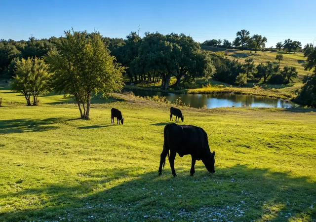 2nd image of 1973 County Road 513, Stephenville, TX 76401 | MLS# 21264281