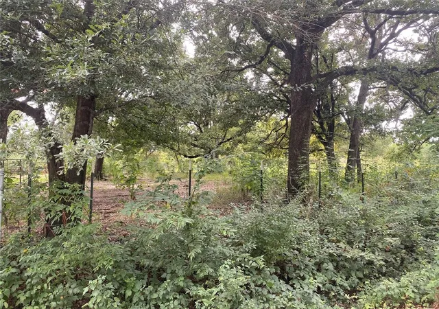Homes for sale in Kemp, TX | Tbd Lot 4 And 5 Goldwater, Kemp, TX 75143 | MLS# 21264532