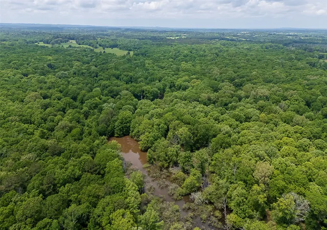 Homes for sale in Troup, TX | 00 Off Of Farm To Market Road 2064, Troup, TX 75789 | MLS# 21264606
