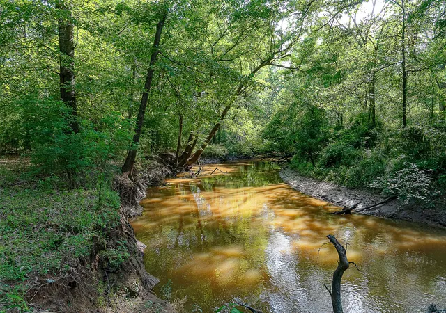 Homes for sale in Troup, TX | 00 Off Of Farm To Market Road 2064, Troup, TX 75789 | MLS# 21264606