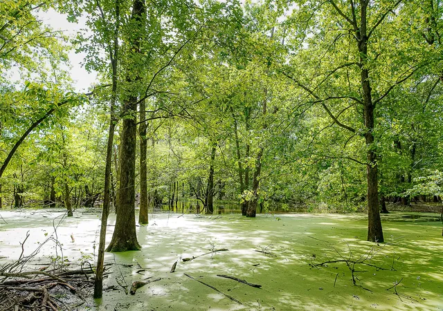 Homes for sale in Troup, TX | 00 Off Of Farm To Market Road 2064, Troup, TX 75789 | MLS# 21264606