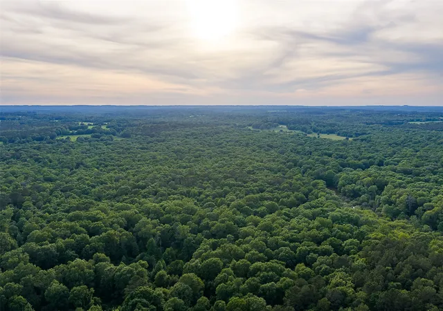 Homes for sale in Troup, TX | 00 Off Of Farm To Market Road 2064, Troup, TX 75789 | MLS# 21264606