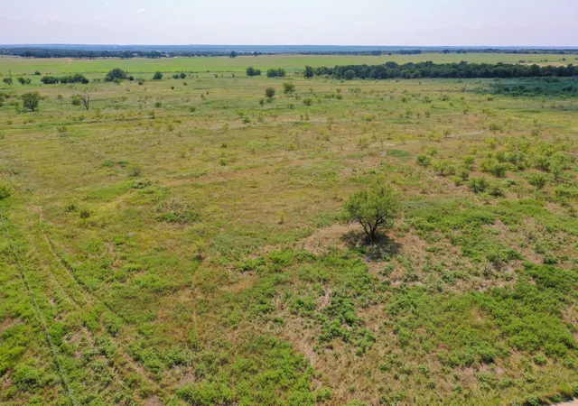 Homes for sale in Jacksboro, TX | 2956 Acres Ballard Rd, Jacksboro, TX 76458 | MLS# 21264628